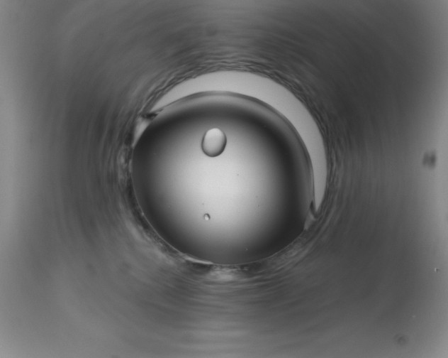 X0000113120280200909111147