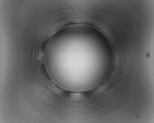 X0000113120281200909111147