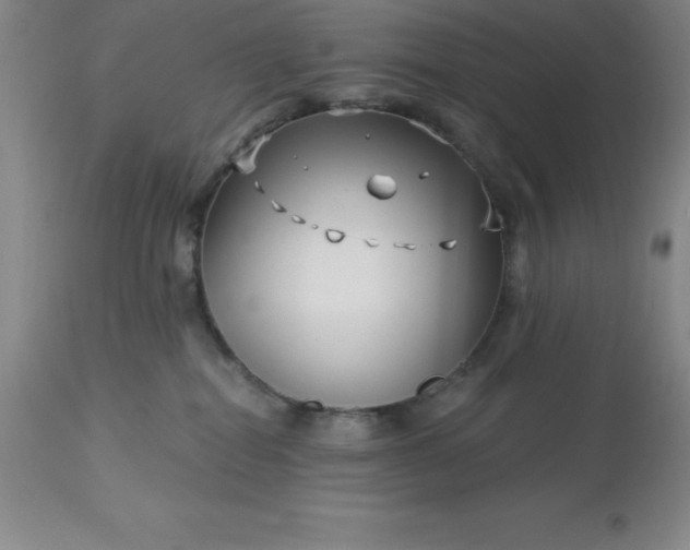 X0000113120282200909111147