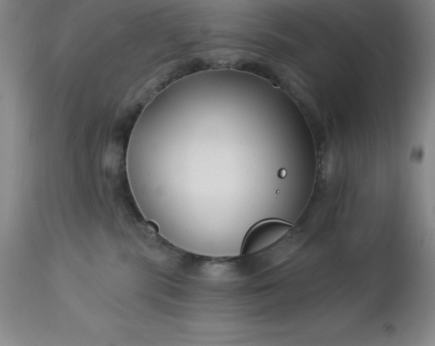 X0000113120283200909111147