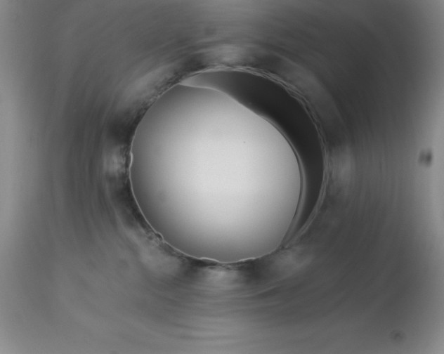 X0000113120284200909111147