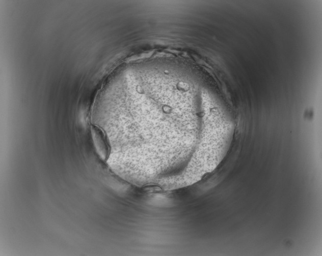 X0000113120285200909111147