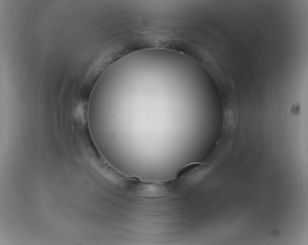 X0000113120286200909111147