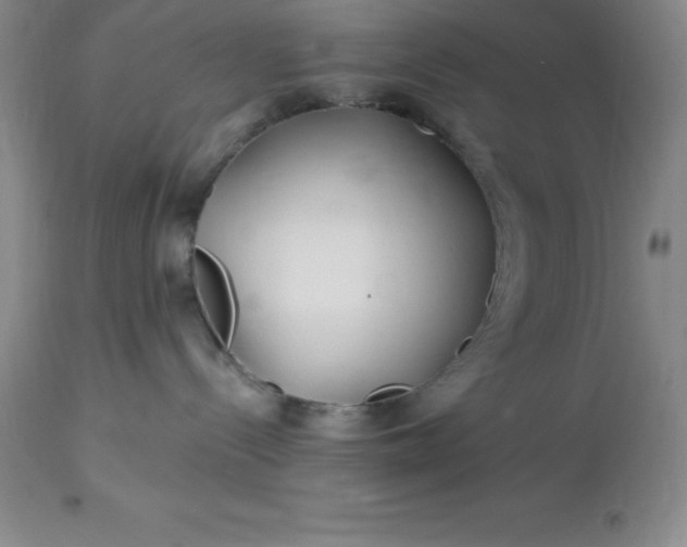 X0000113120288200909111147