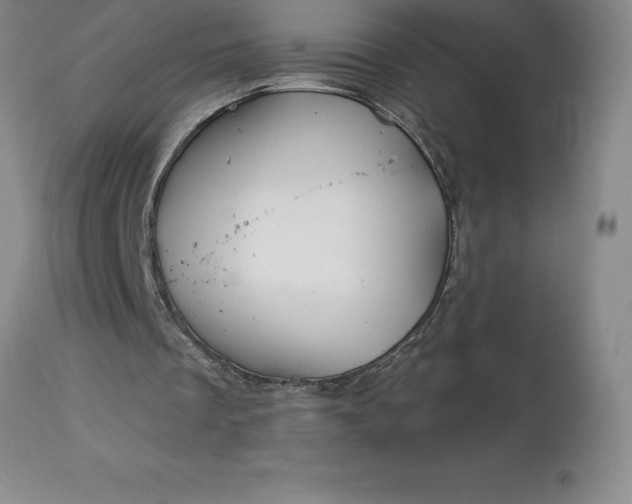 X0000113120289200909111146