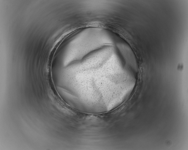 X0000113120290200909111146