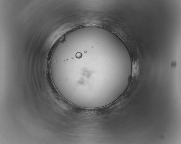 X0000113120291200909111146