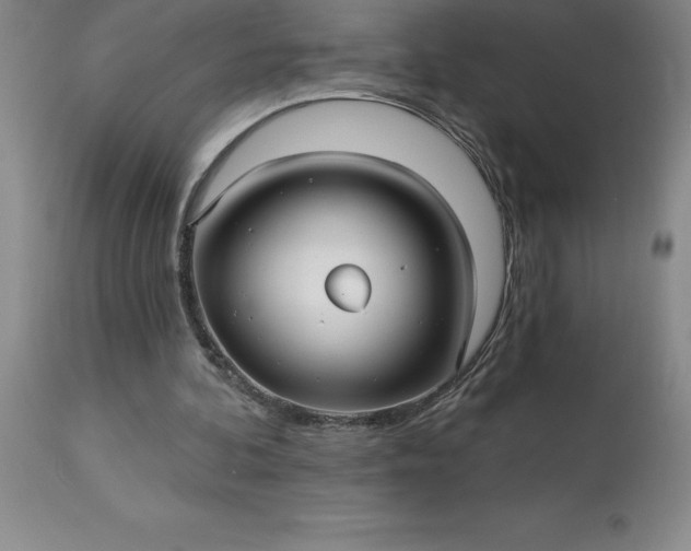 X0000113120292200909111146