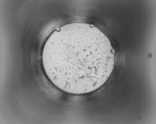 X0000113120293200909111146