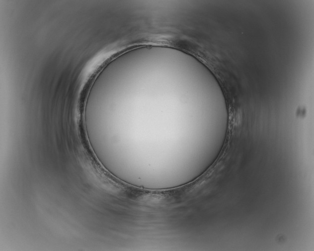 X0000113120294200909111146