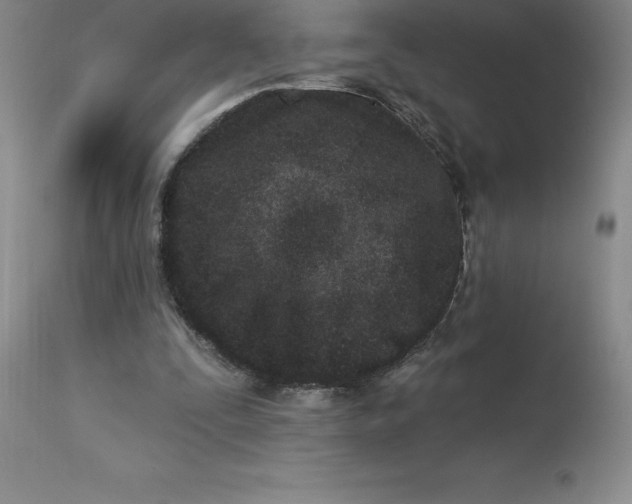 X0000113120295200909111146