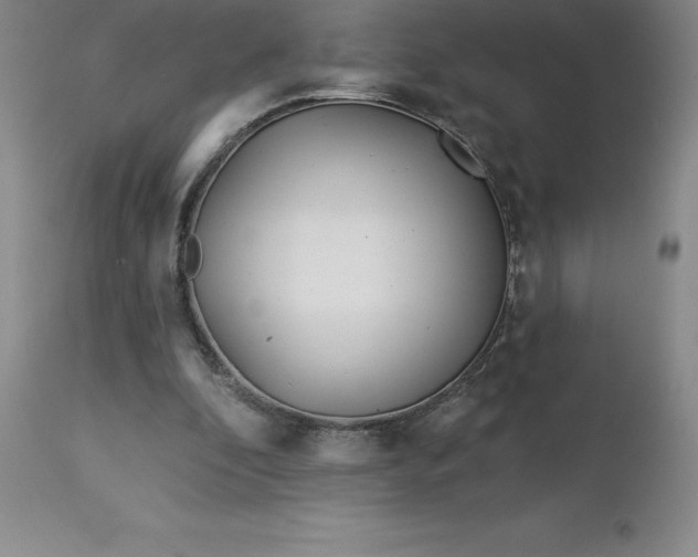 X0000113120296200909111146