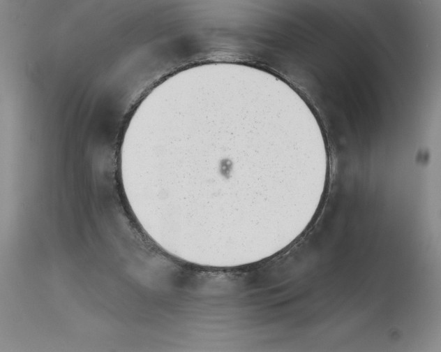 X0000113120297200909111146