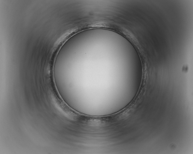 X0000113120298200909111146