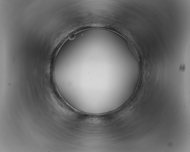 X0000113120299200909111146