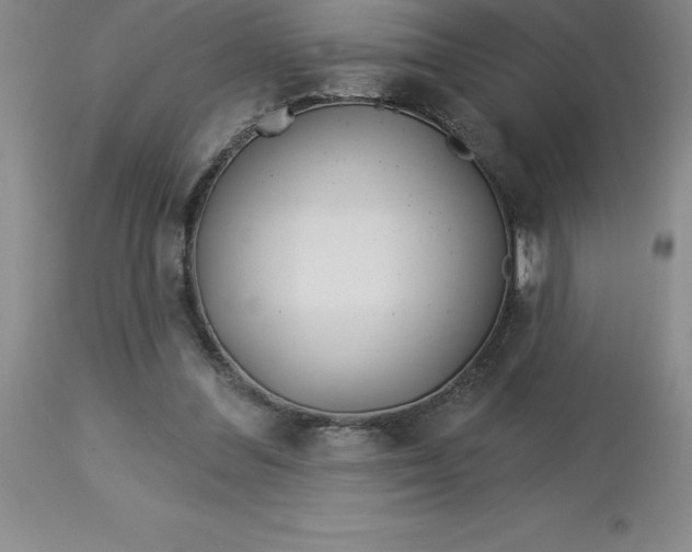 X0000113120300200909111146