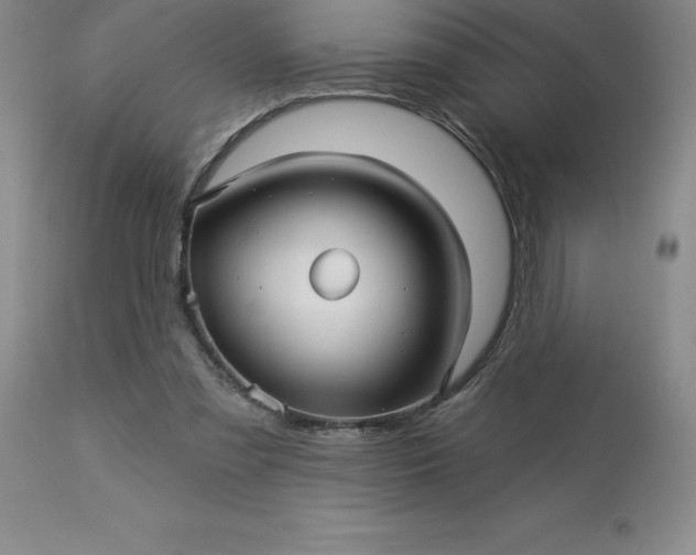 X0000113120301200909111146