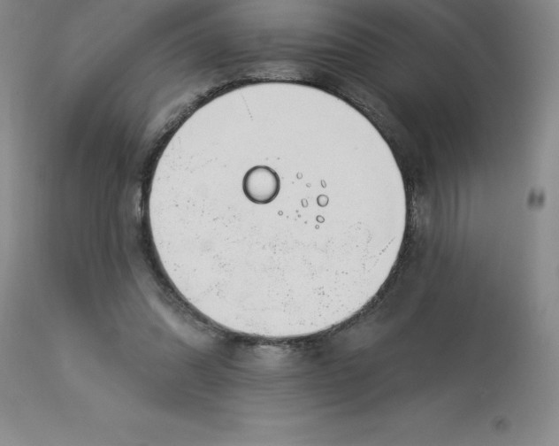 X0000113120302200909111146