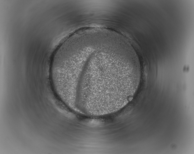 X0000113120303200909111146