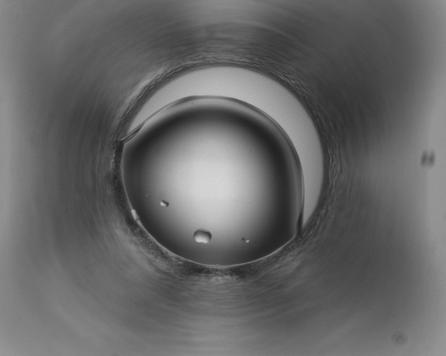 X0000113120304200909111146