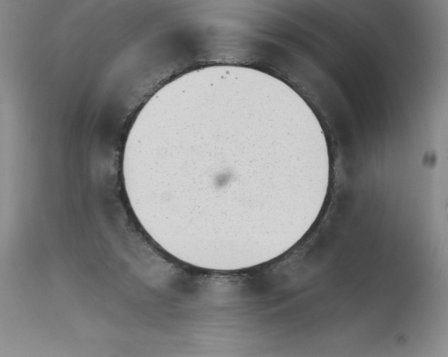 X0000113120305200909111146