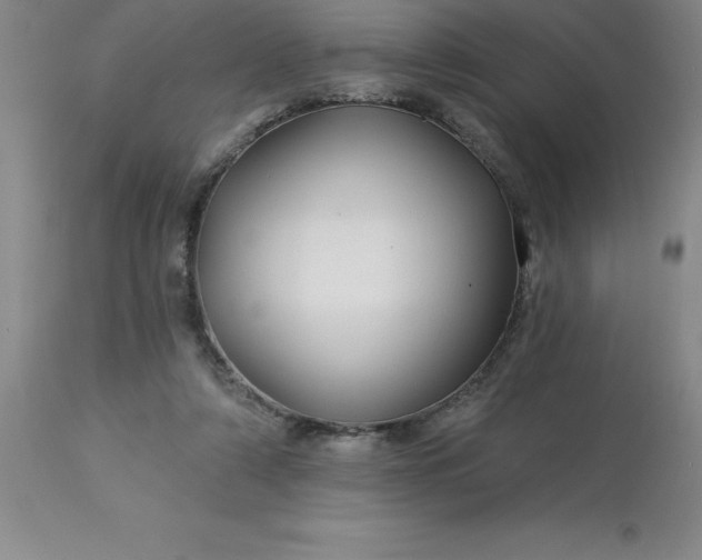 X0000113120306200909111146