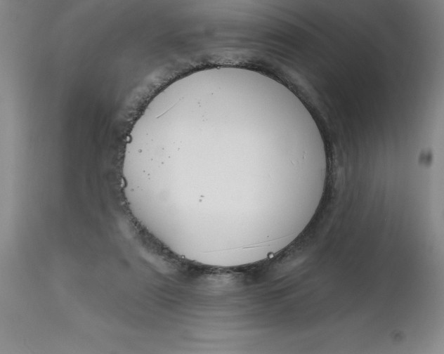 X0000113120307200909111146