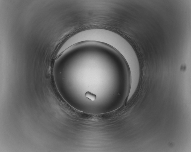 X0000113120308200909111146