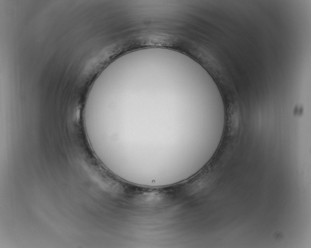 X0000113120310200909111146