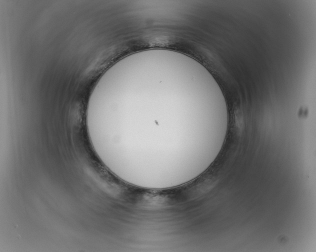 X0000113120311200909111146