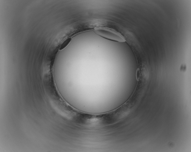 X0000113120312200909111146