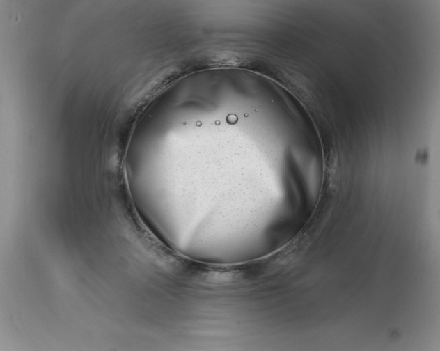 X0000113120314200909111146