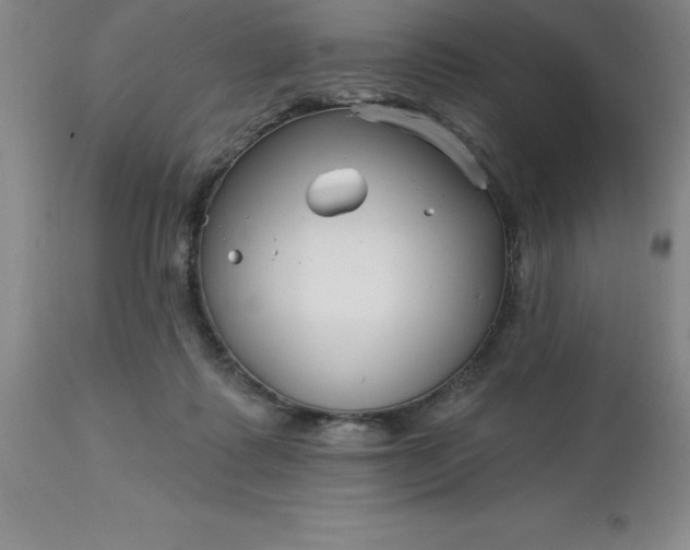 X0000113120315200909111146