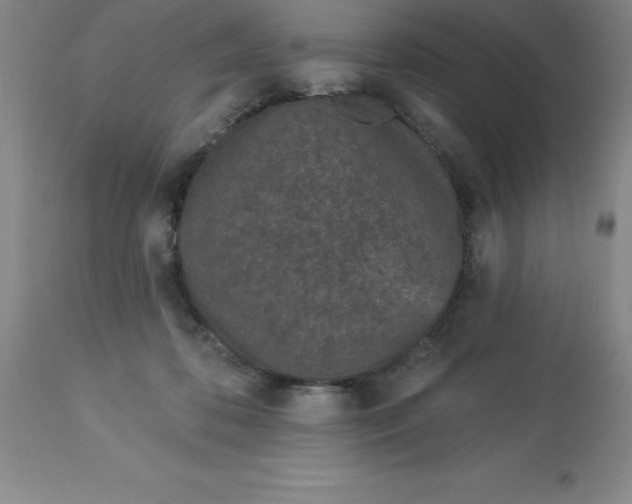 X0000113120316200909111146