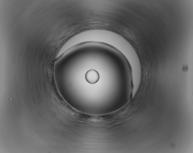 X0000113120317200909111146