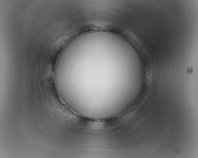 X0000113120318200909111146