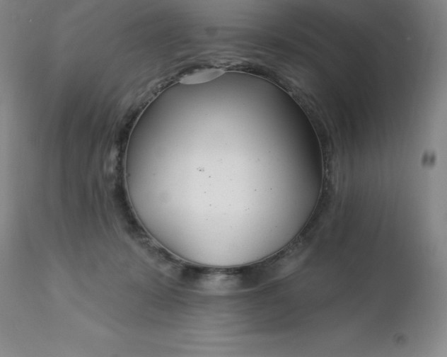 X0000113120319200909111146