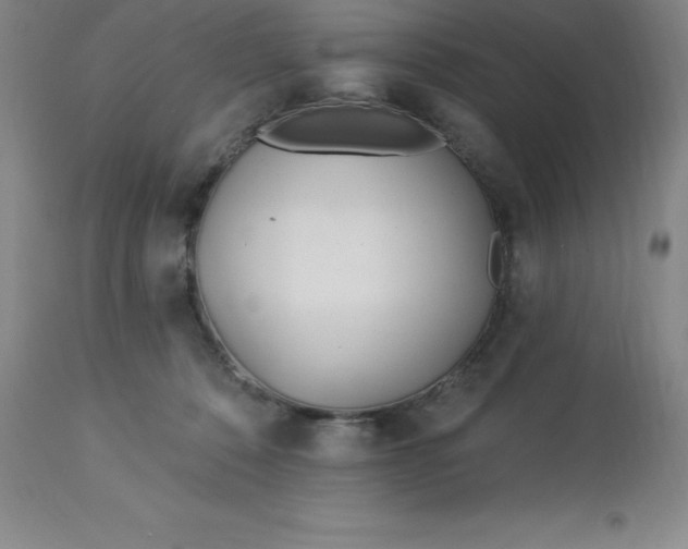 X0000113120320200909111146