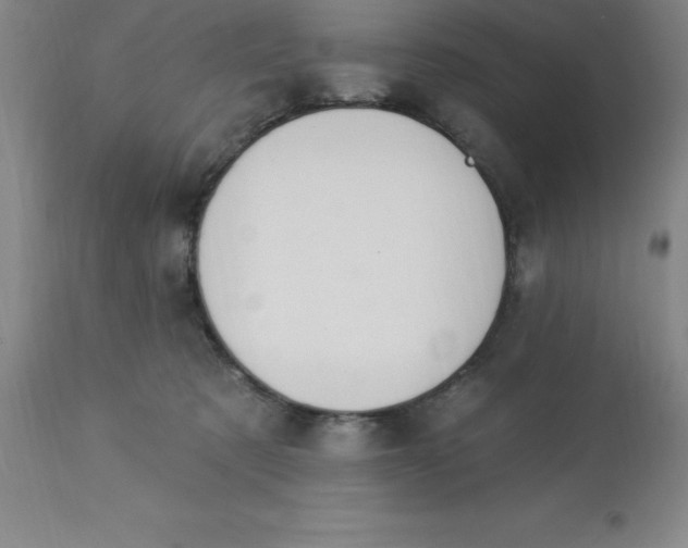 X0000113120321200909111146