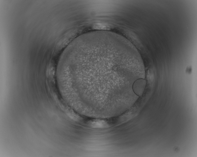 X0000113120322200909111146