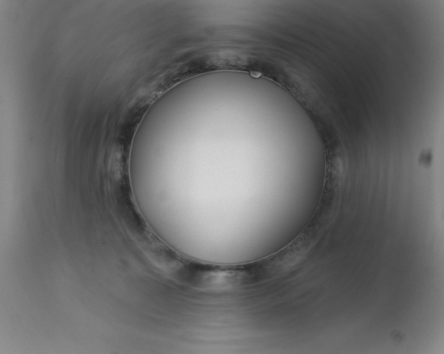 X0000113120323200909111146