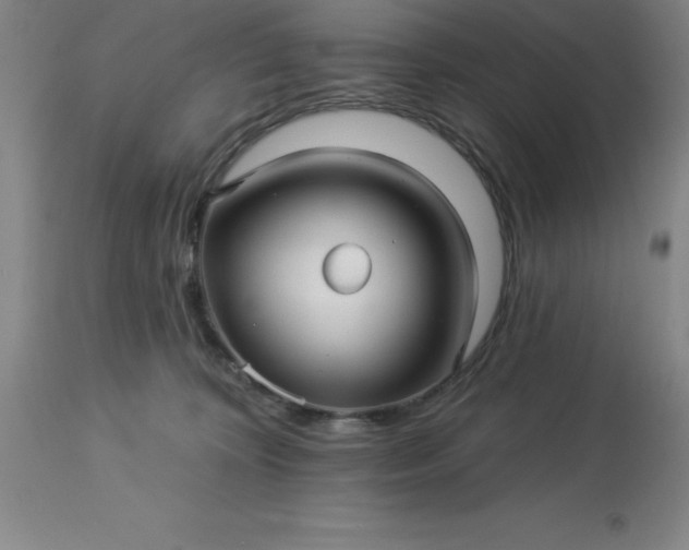 X0000113120324200909111146