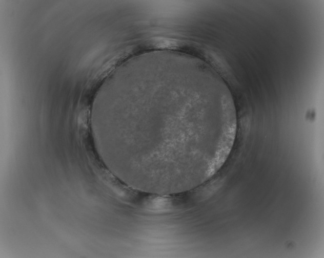 X0000113120325200909111146