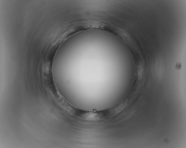 X0000113120326200909111146