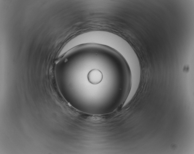 X0000113120327200909111146