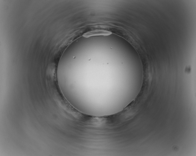 X0000113120328200909111146