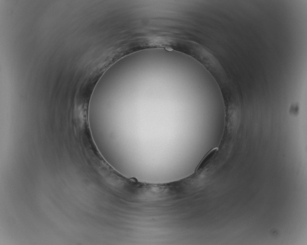 X0000113120329200909111146