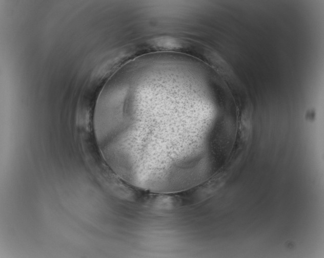 X0000113120330200909111146