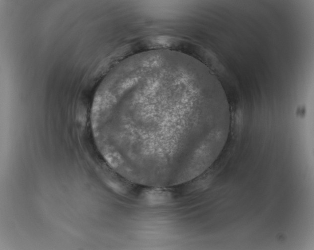 X0000113120331200909111146