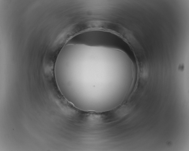 X0000113120332200909111146